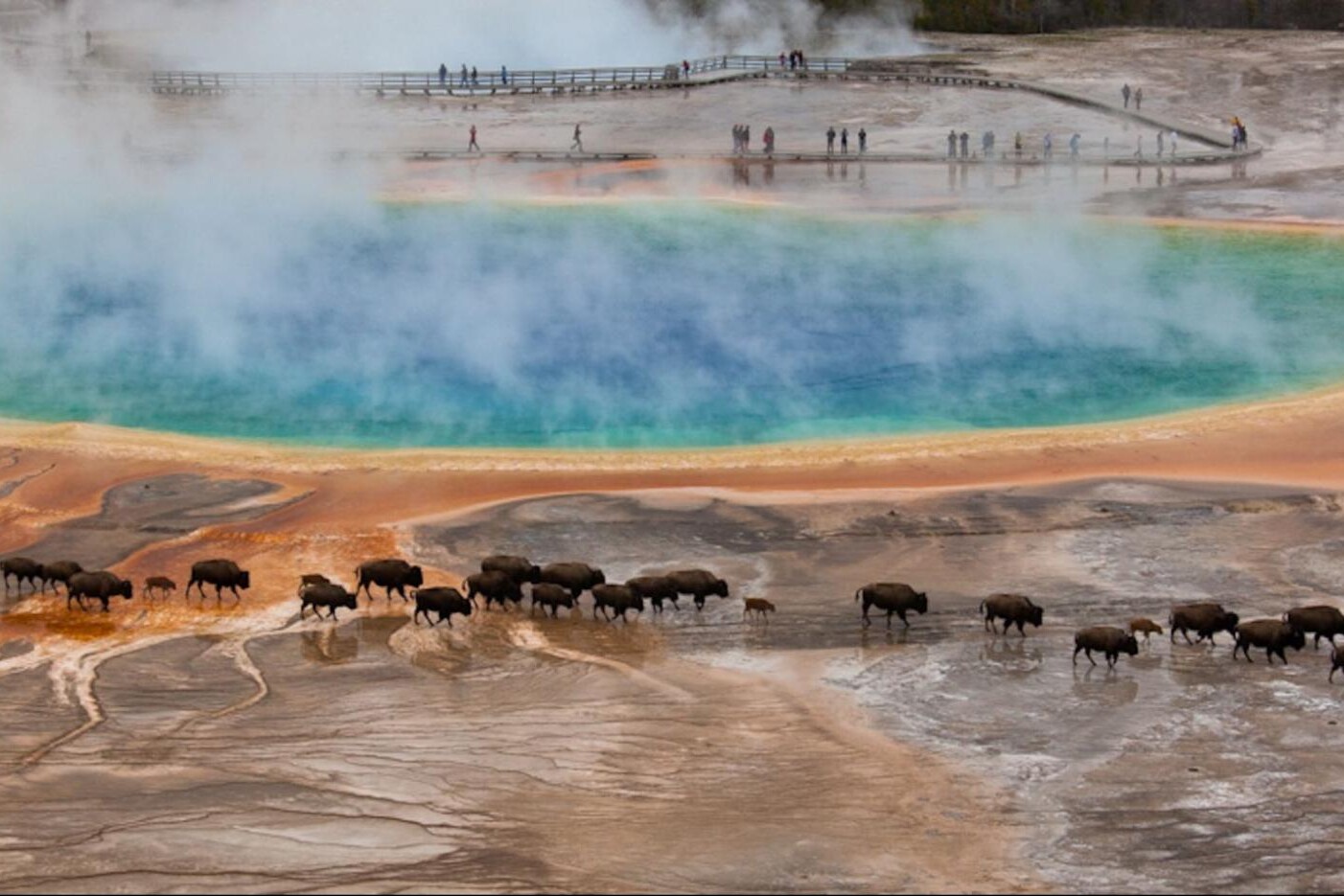 Photograph of a hot pool at Yellowstone