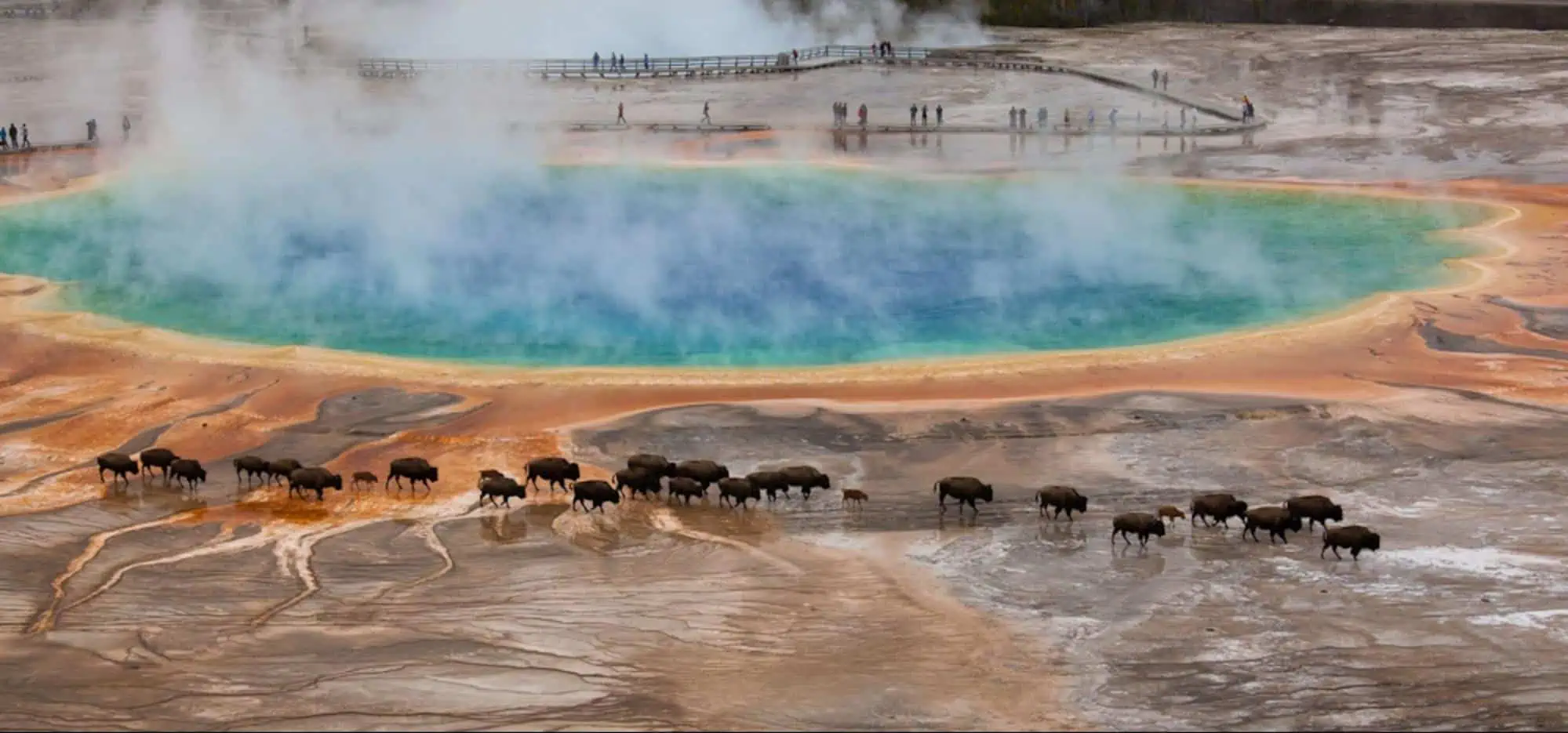 Photograph of a hot pool at Yellowstone